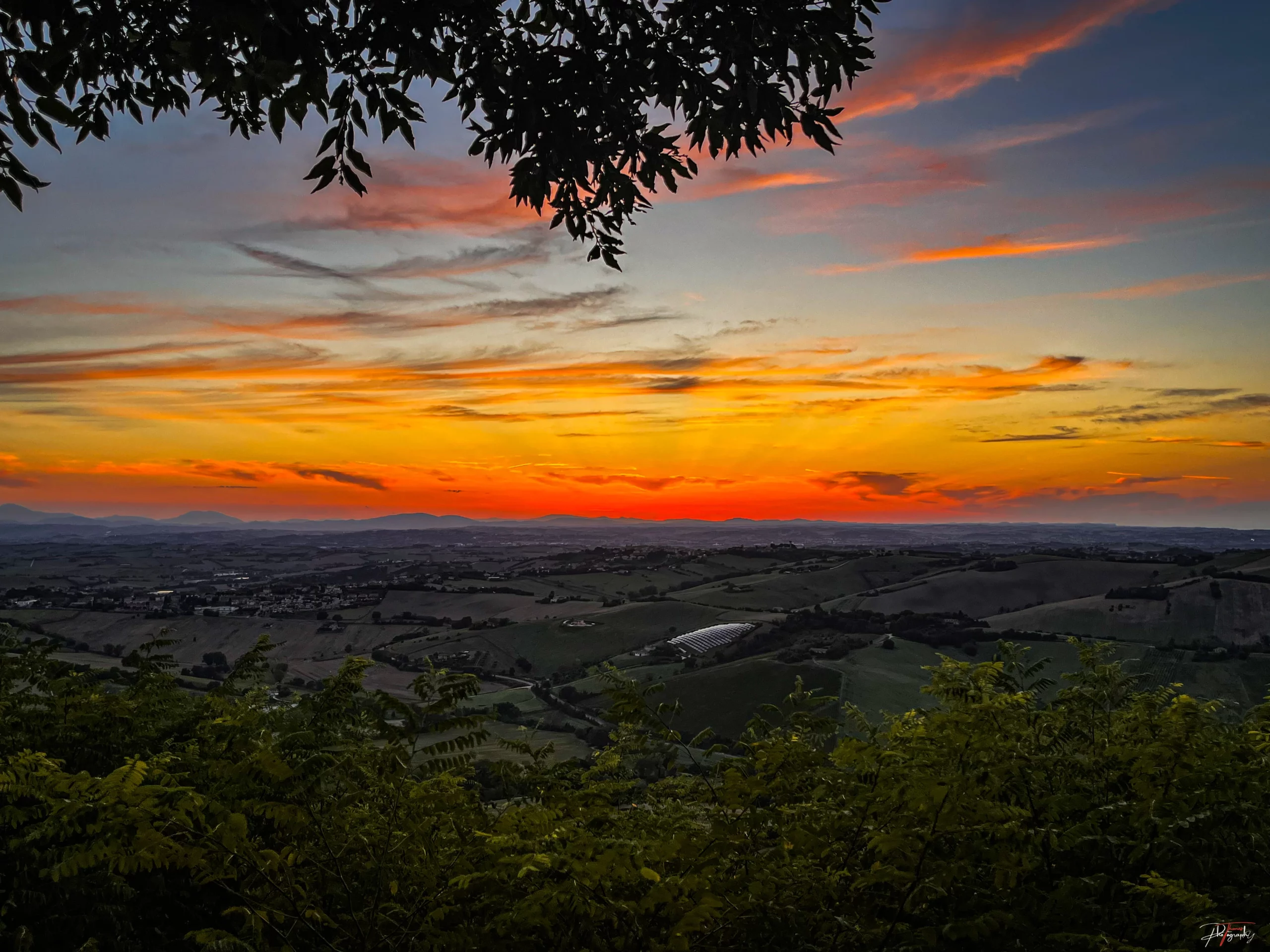 Golden hour gallery Thomas DE WILDE