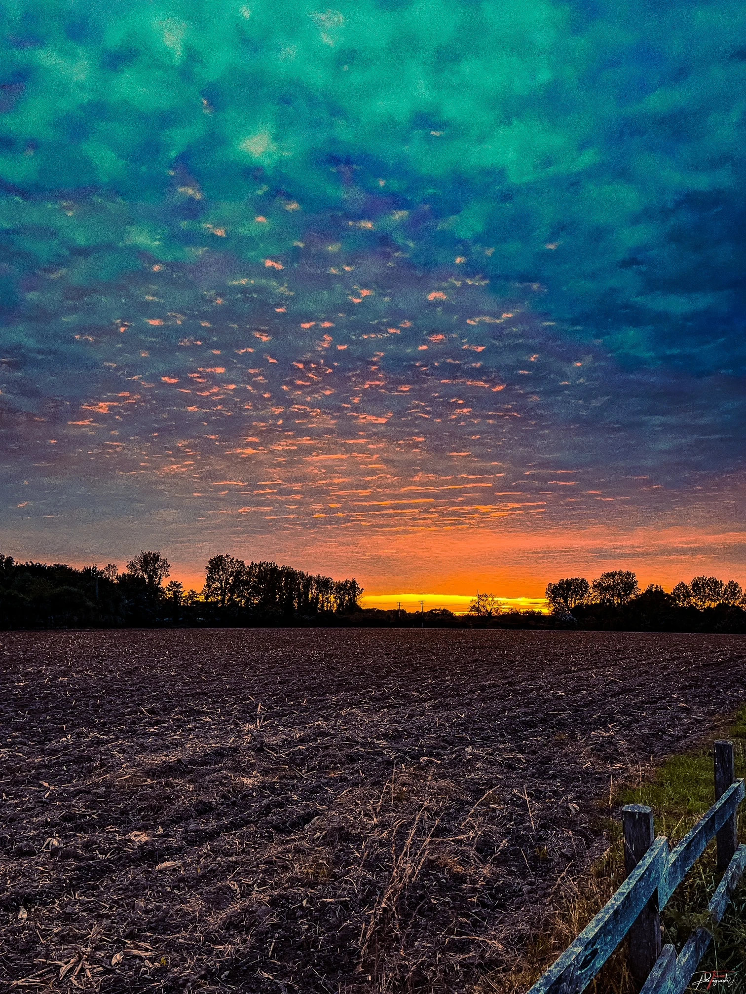 Golden hour gallery Thomas DE WILDE