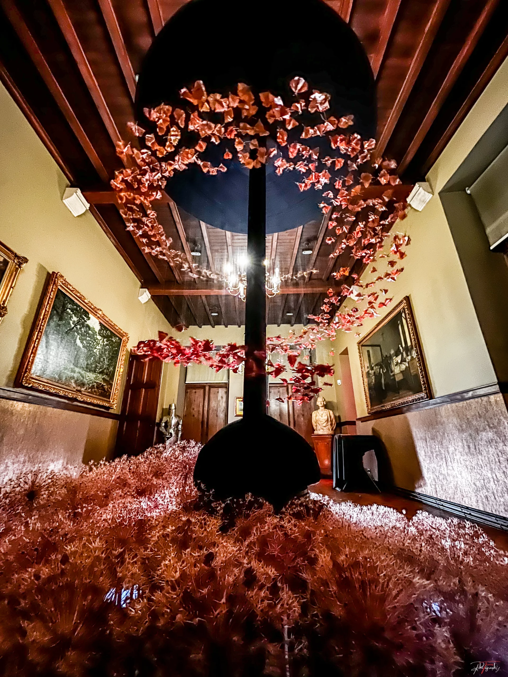 Night gallery Flying flowers - Belgium Thomas DE WILDE