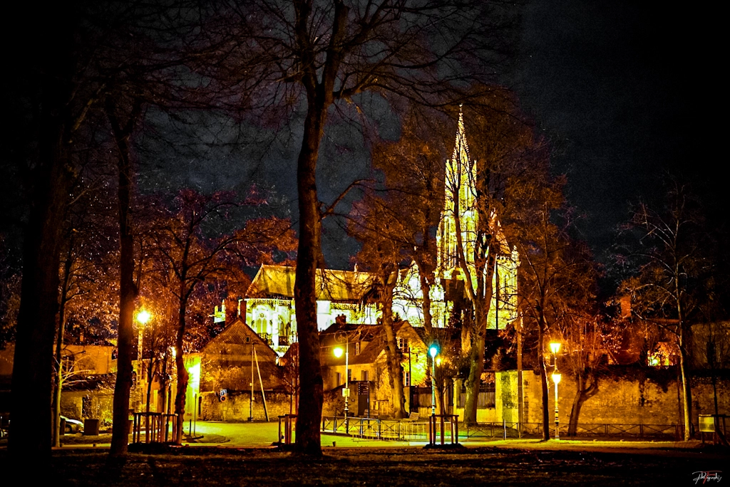 Night Gallery Thomas DE WILDE Senlis - France