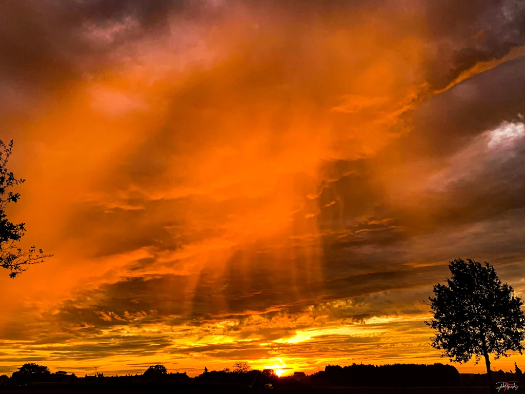 Golden hour gallery - Thomas DE WILDE photographer