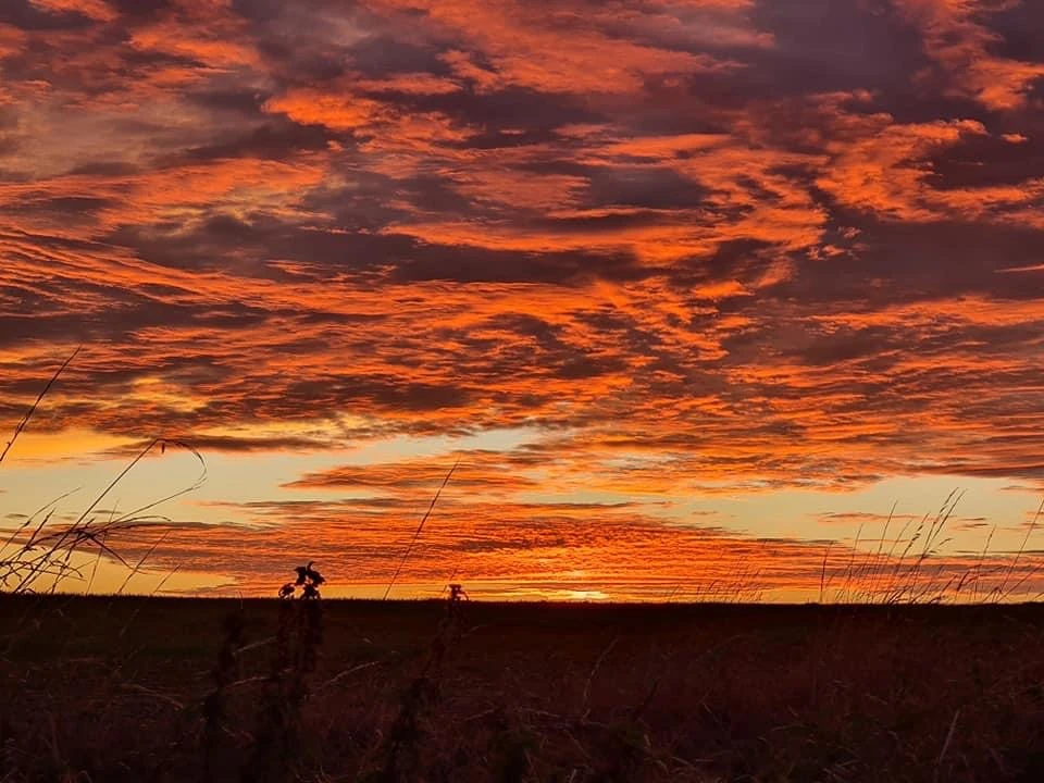 Golden hour gallery Thomas DE WILDE