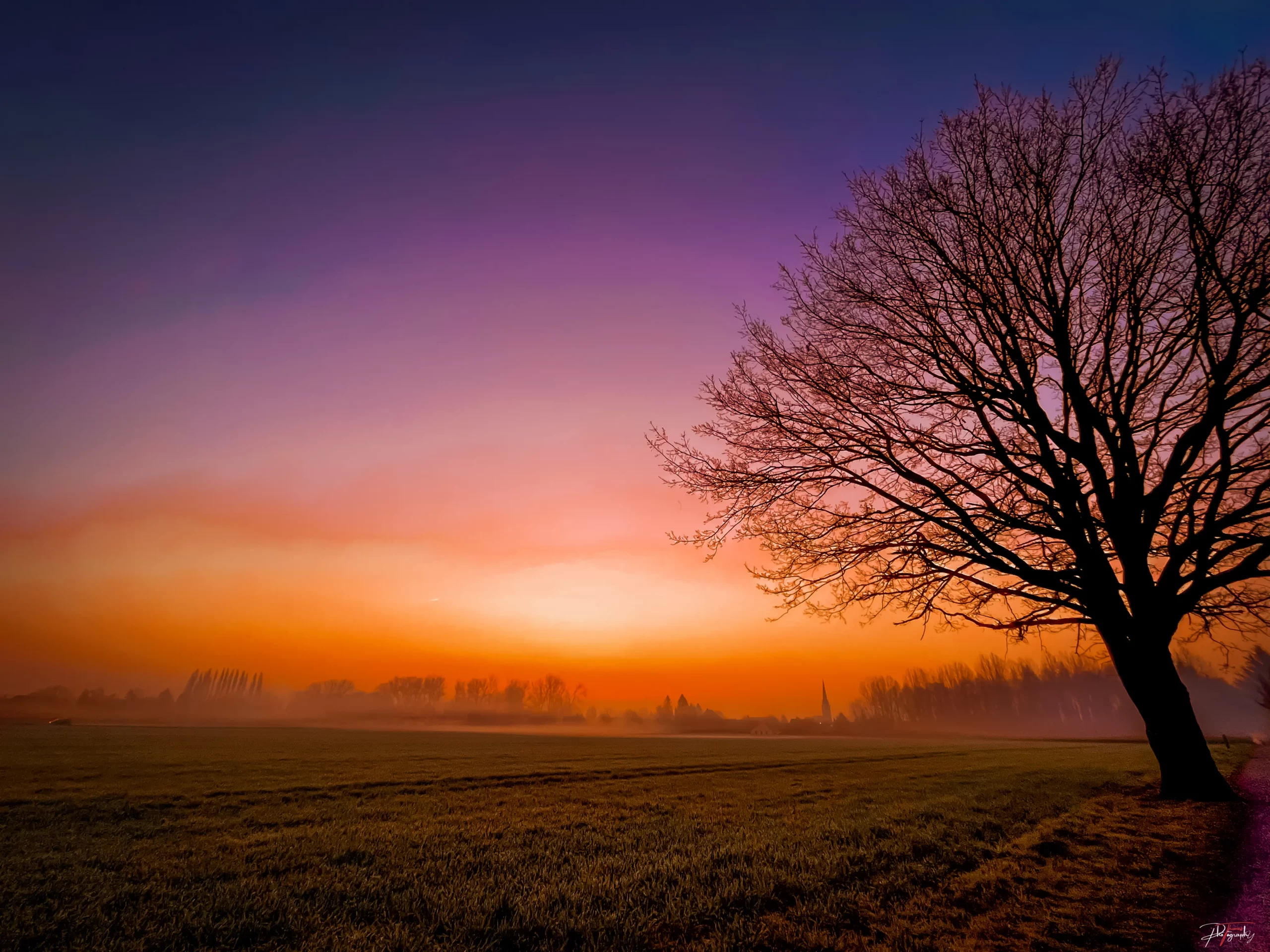 Golden hour gallery Thomas DE WILDE