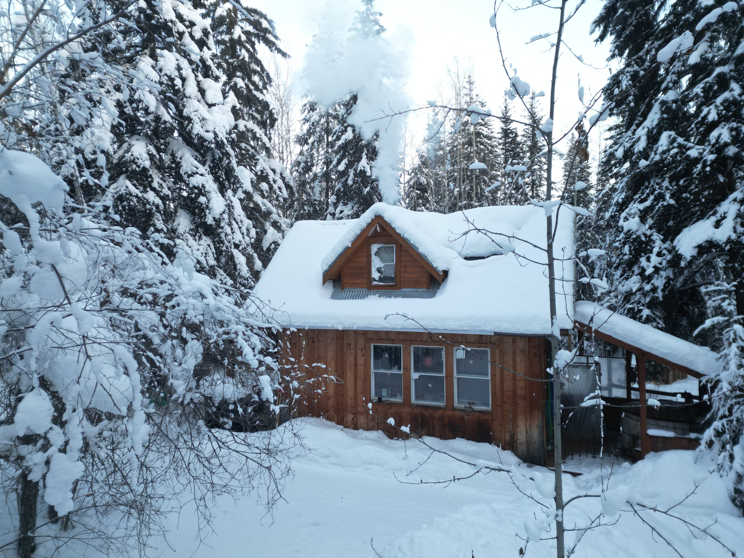 Trapper cabin in the forest